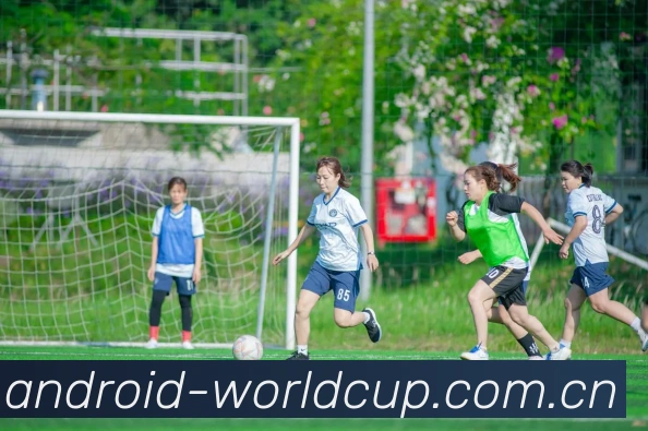 FIFA 官方数据授权认证